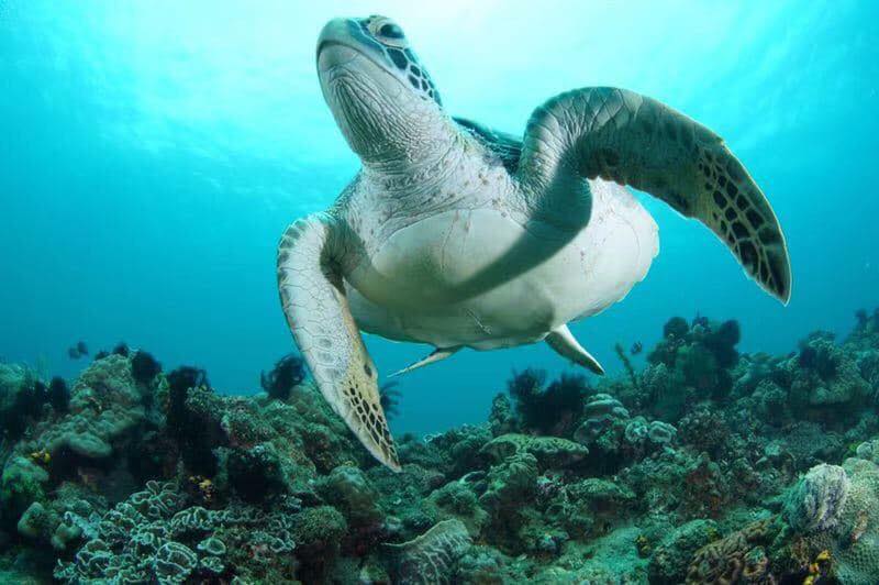 Casa Escondida — dive group at sunset